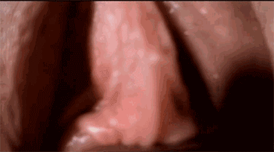 Camera Inside Vagina Gif