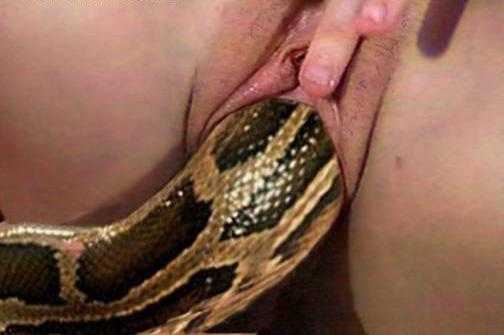 mujeres follando con serpientes